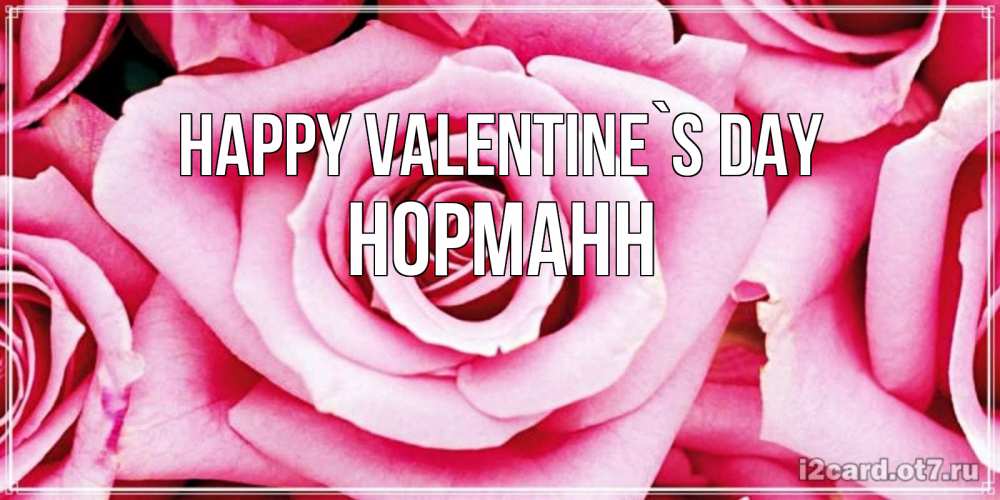 Greetings card с именем, Норманн Happy Valentine`s Day роза розовая на день Святого Валентина Greetings with text for free download 